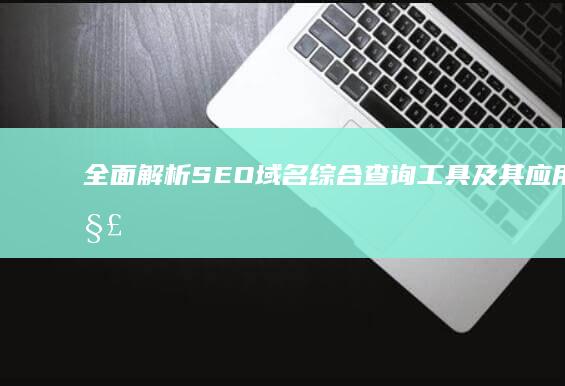 全面解析：SEO域名综合查询工具及其应用详解